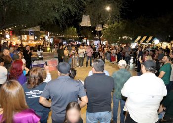 Entregan más de 6 toneladas de croquetas a agrupaciones de rescate animal
