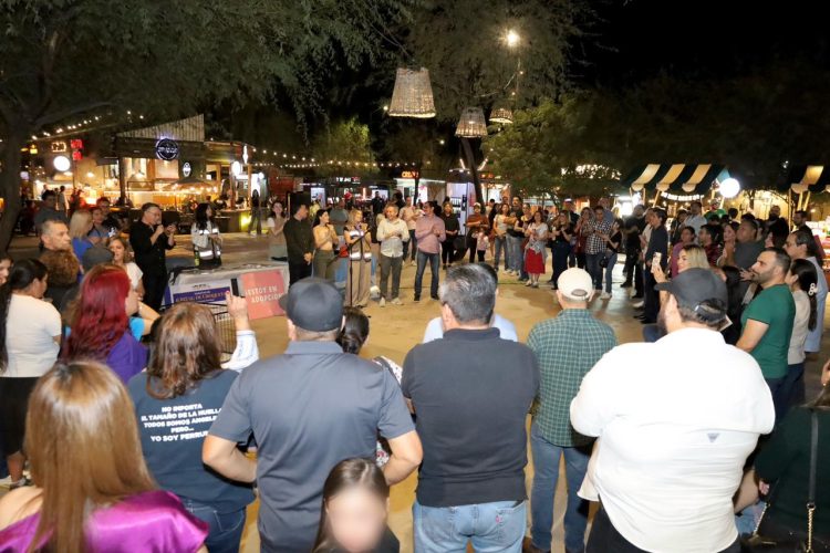 Entregan más de 6 toneladas de croquetas a agrupaciones de rescate animal