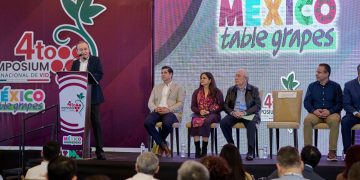 Durazo consolida a Sonora como líder en producción de uva de mesa