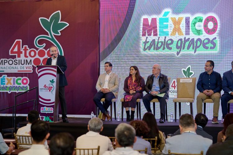 Durazo consolida a Sonora como líder en producción de uva de mesa