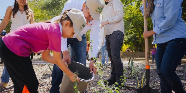 Celebra Toño Astiazarán reconocimiento de Hermosillo como Ciudad Árbol en el Mundo con siembra de guayacanes en el Parque Madero