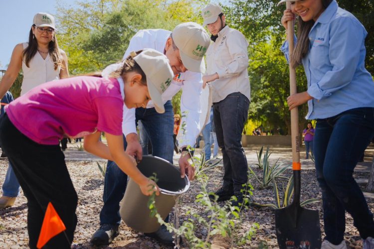 Celebra Toño Astiazarán reconocimiento de Hermosillo como Ciudad Árbol en el Mundo con siembra de guayacanes en el Parque Madero