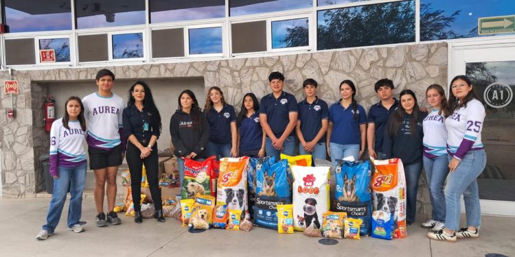 Supera meta de recaudación con 3.5 toneladas de alimentos para perros y gatos el Tercer Croquetón en Hermosillo