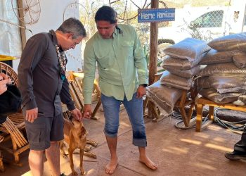 Entrega Omar Del Valle Colosio una tonelada de croquetas a comunidad comca’ac