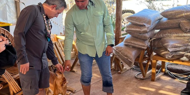 Entrega Omar Del Valle Colosio una tonelada de croquetas a comunidad comca’ac