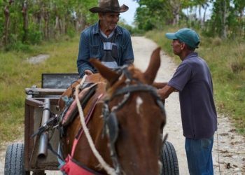 Se asfixia al campo cubano; alertan por grave crisis alimentaria