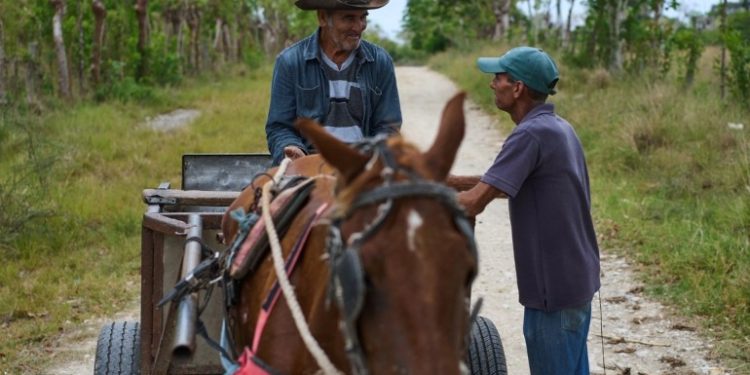 Se asfixia al campo cubano; alertan por grave crisis alimentaria