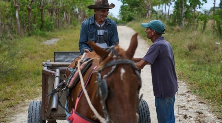 Se asfixia al campo cubano; alertan por grave crisis alimentaria