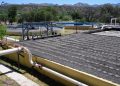 Gobernador Durazo arranca programa de saneamiento de agua en Nogales para garantizar abasto a la población