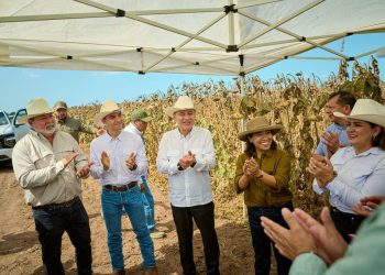 Gobernador Durazo y Sader garantizan apoyo al campo sonorense con estrategia de reconversión de cultivos