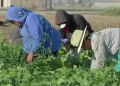 EU endurece la vigilancia financiera contra quienes den trabajo a migrantes