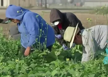 EU endurece la vigilancia financiera contra quienes den trabajo a migrantes