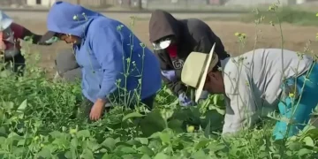 EU endurece la vigilancia financiera contra quienes den trabajo a migrantes