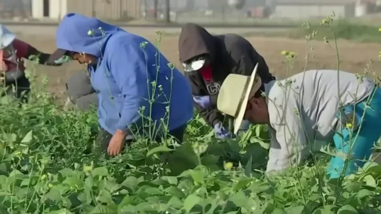EU endurece la vigilancia financiera contra quienes den trabajo a migrantes