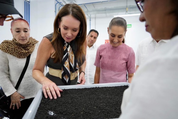 Presidenta Claudia Sheinbaum inaugura Planta de Producción de Moscas Estériles del Gusano Barrenador del Ganado en Metapa de Domínguez, Chiapas