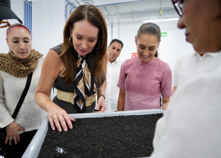 Presidenta Claudia Sheinbaum inaugura Planta de Producción de Moscas Estériles del Gusano Barrenador del Ganado en Metapa de Domínguez, Chiapas