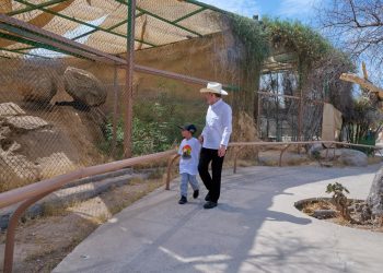 Gobernador Durazo reaviva Centro Ecológico de Sonora; se registran 73 nacimientos en 2026