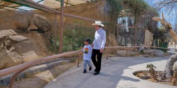 Gobernador Durazo reaviva Centro Ecológico de Sonora; se registran 73 nacimientos en 2026