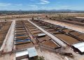 Durazo y Sheinbaum duplican la capacidad de cuarentenaria ganadera de Agua Prieta