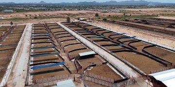 Durazo y Sheinbaum duplican la capacidad de cuarentenaria ganadera de Agua Prieta