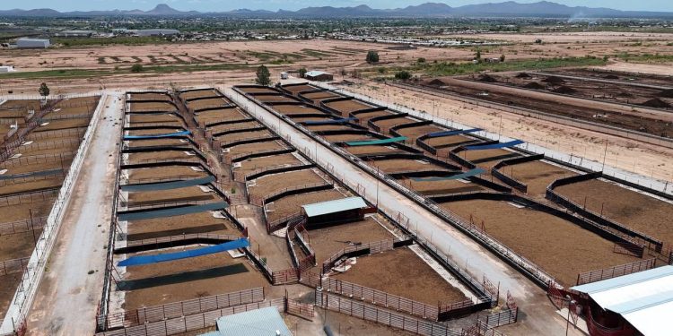 Durazo y Sheinbaum duplican la capacidad de cuarentenaria ganadera de Agua Prieta