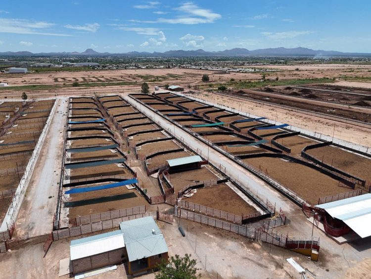 Durazo y Sheinbaum duplican la capacidad de cuarentenaria ganadera de Agua Prieta