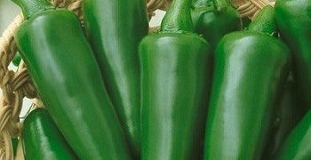 chiles jalapeños de varios restaurantes son retirados por posible brote de salmonela