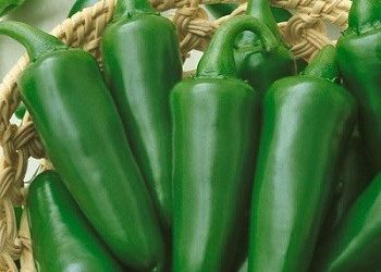 chiles jalapeños de varios restaurantes son retirados por posible brote de salmonela