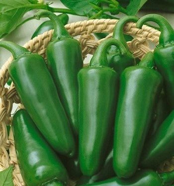 chiles jalapeños de varios restaurantes son retirados por posible brote de salmonela