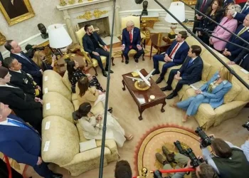 Al desnudo, las redes de Cerimedo para expandir la ultraderecha en AL desde Miami y Washington