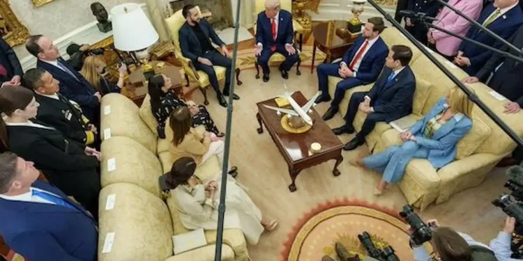 Al desnudo, las redes de Cerimedo para expandir la ultraderecha en AL desde Miami y Washington