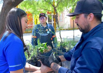 Donará Ayuntamiento de Hermosillo árboles nativos en el Vivero Municipal