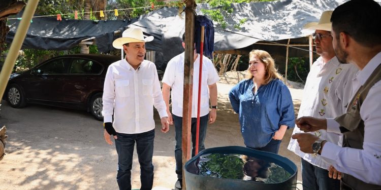Gobernador Durazo refuerza medidas de prevención y control con Segunda Jornada Nacional de Lucha contra el Dengue