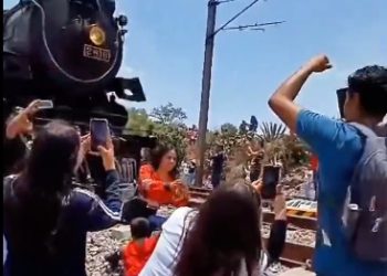 Mujer muere al tratar de tomarse una selfie al paso del Tren ‘La Emperatriz'(Video)
