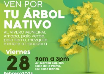 Donarán 500 árboles nativos en el Vivero Municipal