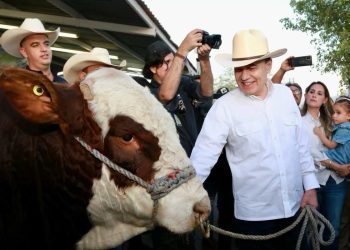 Gobernador Durazo reactiva exportación de ganado sonorense con cruce de más de 3 mil cabezas a Estados Unidos