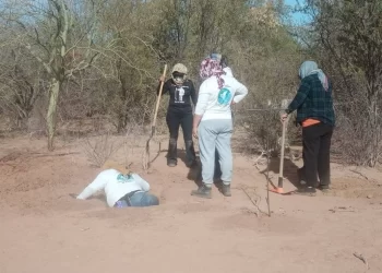 Hallan 53 osamentas en 36 fosas clandestinas en la costa de Hermosillo