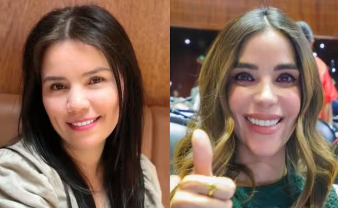Caso ‘Dato Protegido’ llegará a la CIDH: Karla Estrella impugnará sanciones por críticas a diputada del PT