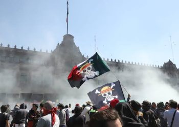 La movilización y marcha 15N, ¿éxito o fracaso?