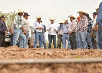 Con liderazgo de Gobernador Durazo se fortalece el campo sonorense; crece 18% actividad primaria