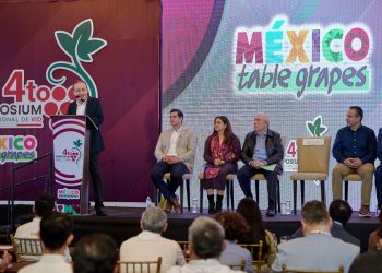 Durazo consolida a Sonora como líder en producción de uva de mesa