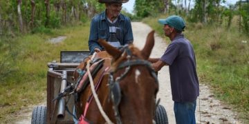 Se asfixia al campo cubano; alertan por grave crisis alimentaria