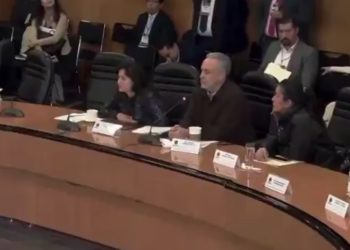“Guadalupe Taddei debe ir a la cárcel”, afirma diputado de Morena Alfonso Ramírez