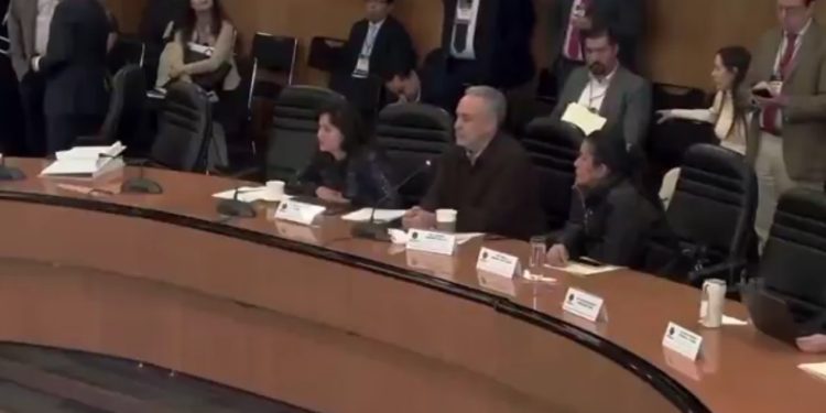 “Guadalupe Taddei debe ir a la cárcel”, afirma diputado de Morena Alfonso Ramírez